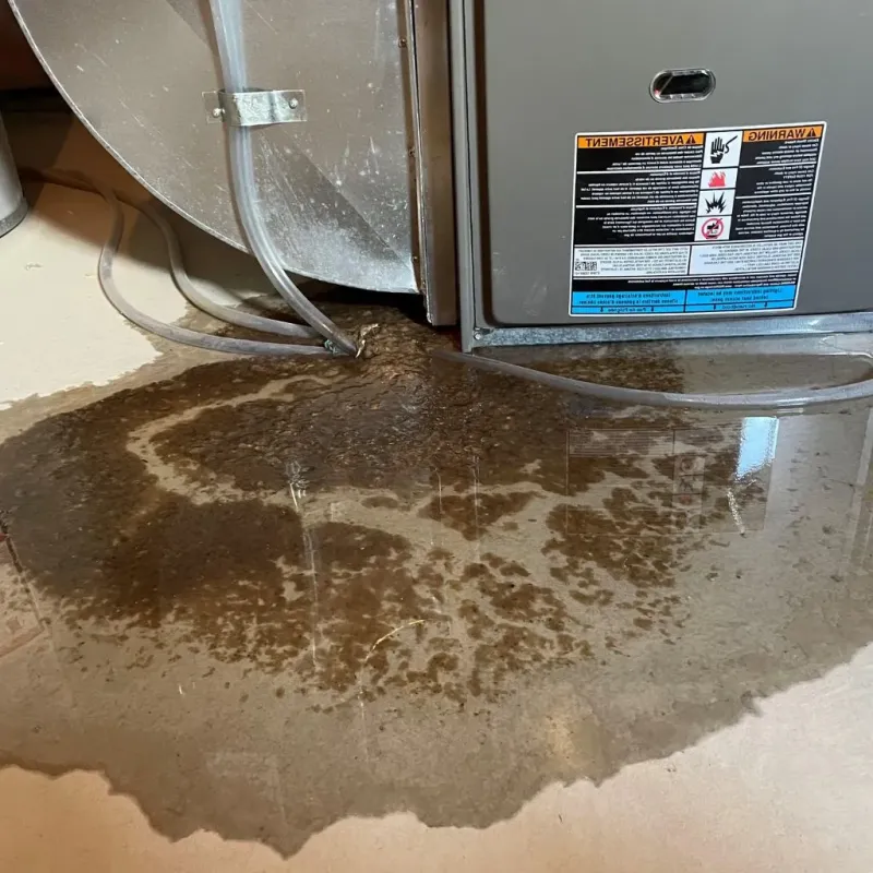 Pipe Burst and Leak Restoration in Larkspur, CA